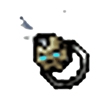 51263